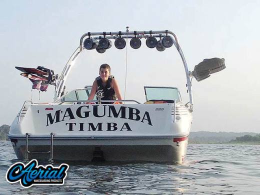 1991 Sea Ray 225 with FreeRide Wakeboard Tower